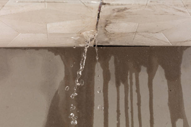 Professional Water Damage Inspection technician working in Hancock, MD